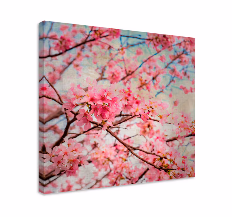 Blomster og planter lærredsbillede kirsebærblomster - TenStickers