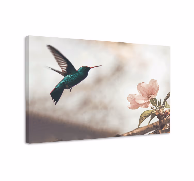 Fugl lærredsbillede kolibri og blomster - TenStickers