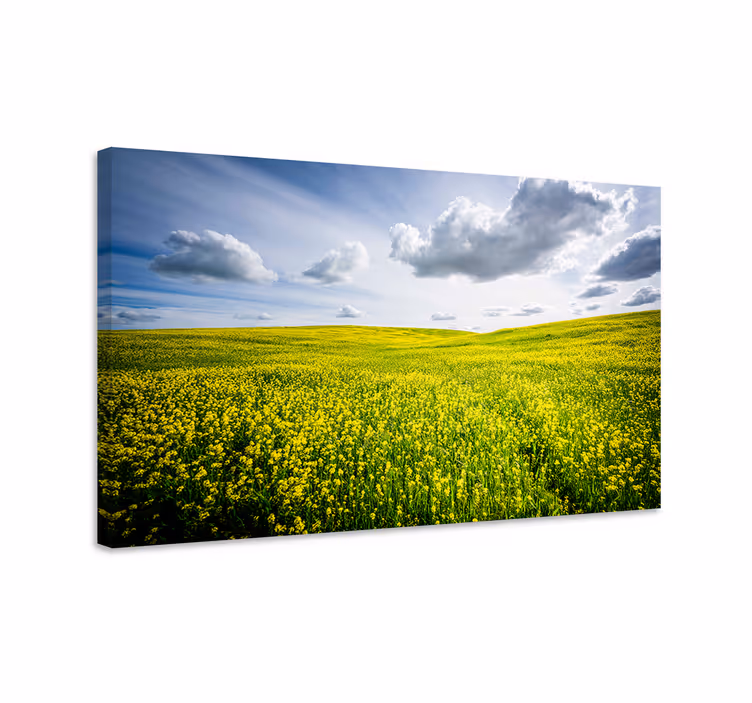 Vibrant yellow field landskab lærred - TenStickers