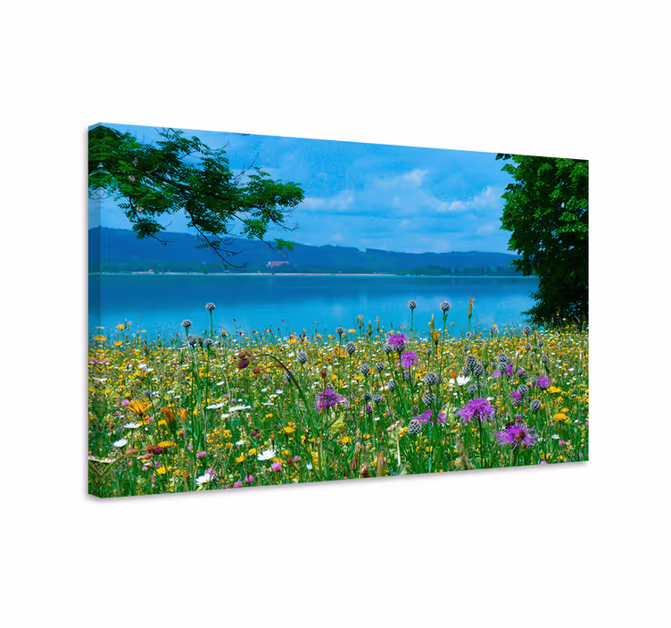 Blomster og planter lærredsbillede blomstrende engudsigt - TenStickers