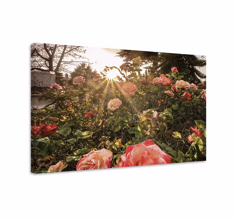 Blomster og planter lærredsbillede strålende rosenblomster - TenStickers