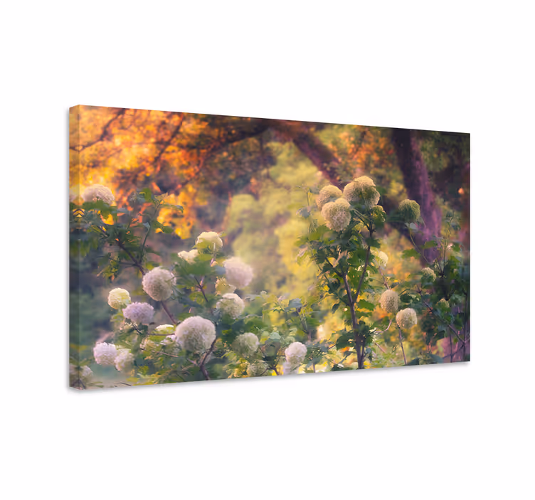 Blomster og planter lærredsbillede blomstereng - TenStickers