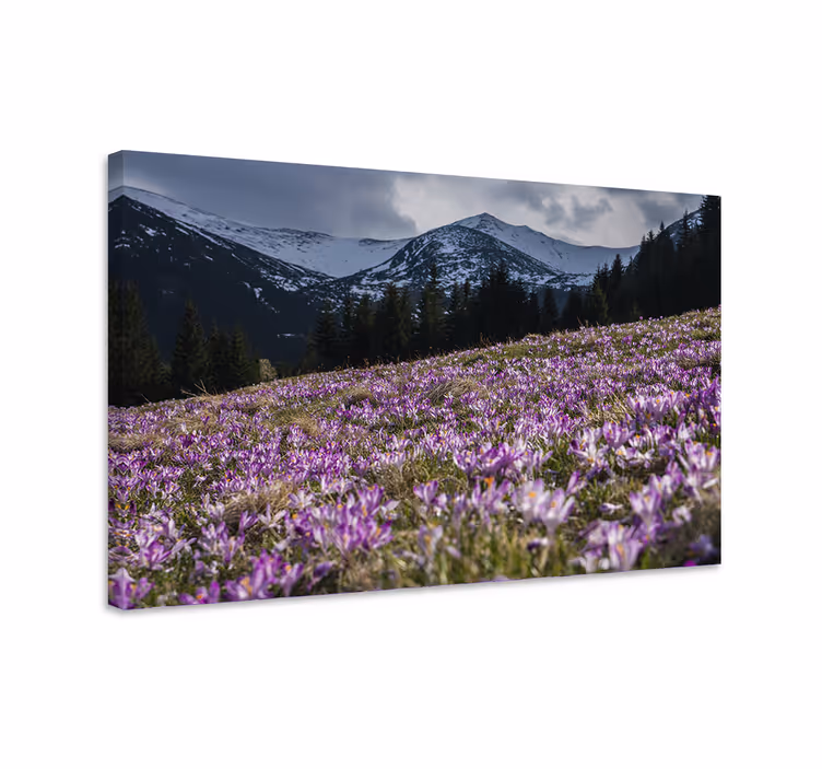 Blomster og planter lærredsbillede lilla blomstereng - TenStickers