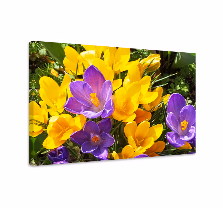 Blomster og planter lærredsbillede farverige forårsbloomer - TenStickers