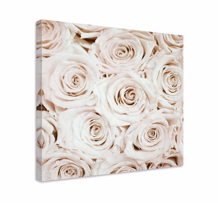 Elegant hvid rose blomst design blomsterlærred - TenStickers