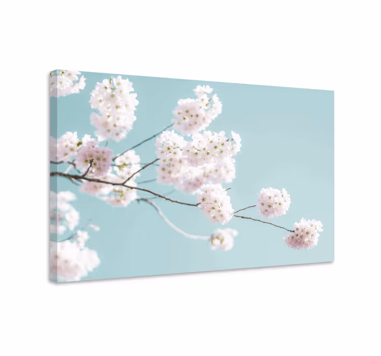 Blomster og planter lærredsbillede sakura bloom stem - TenStickers