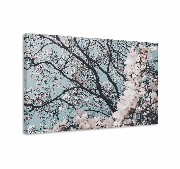 Elegant stil kirsebærblomsterlærred - TenStickers