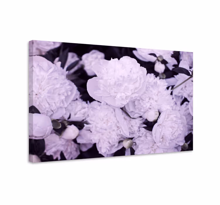 Blomster og planter lærredsbillede lilla pæoner - TenStickers