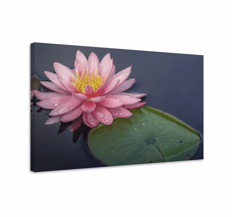Elegant pink nuphar blomst lærred - TenStickers