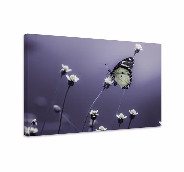 Sommerfugl lærredsbillede blandt blomster - TenStickers