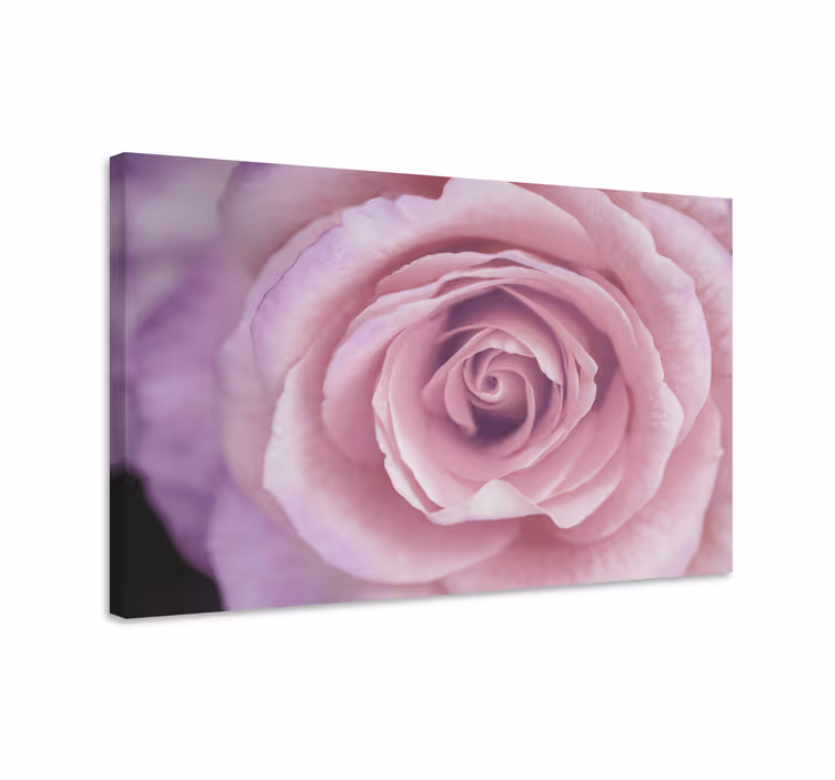 Blomster og planter lærredsbillede pink blomsterdetalje - TenStickers