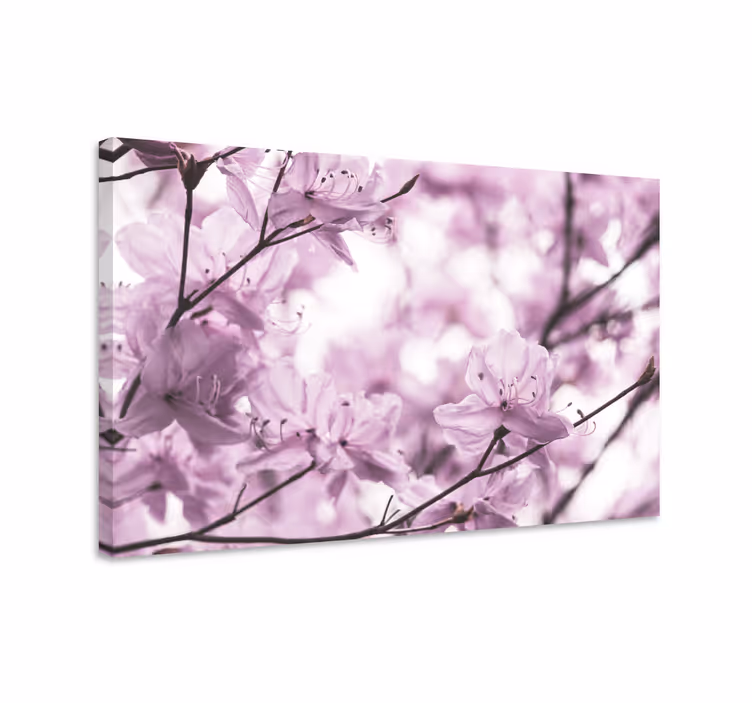 Blomster og planter lærredsbillede sarte blomster - TenStickers