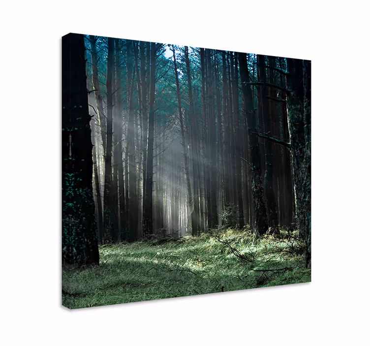 "natur" blå tåge skov træ væg lærred - TenStickers