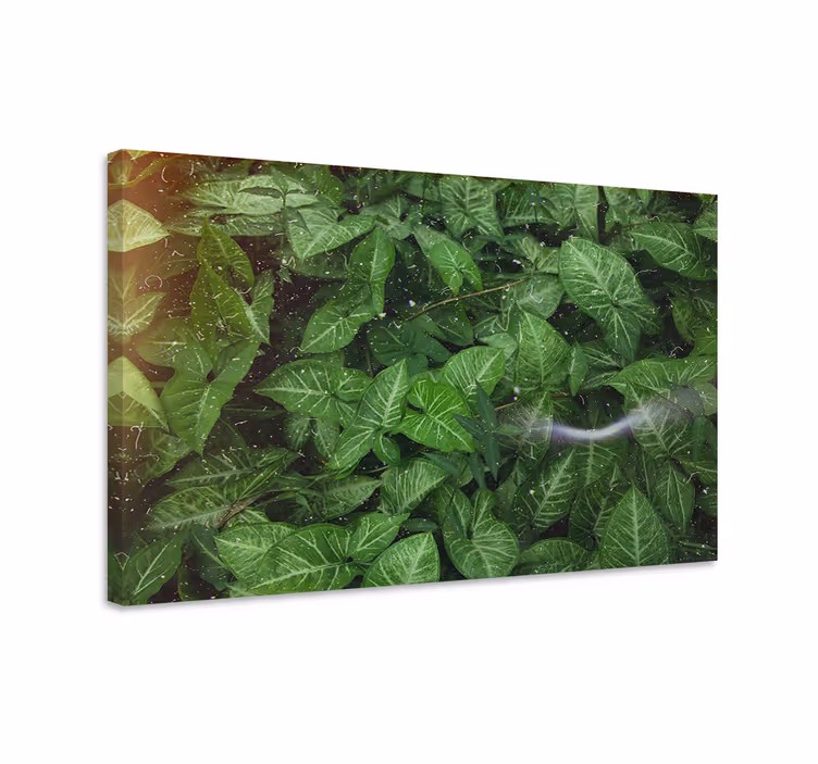Blomster og planter lærredsbillede grønne blade - TenStickers