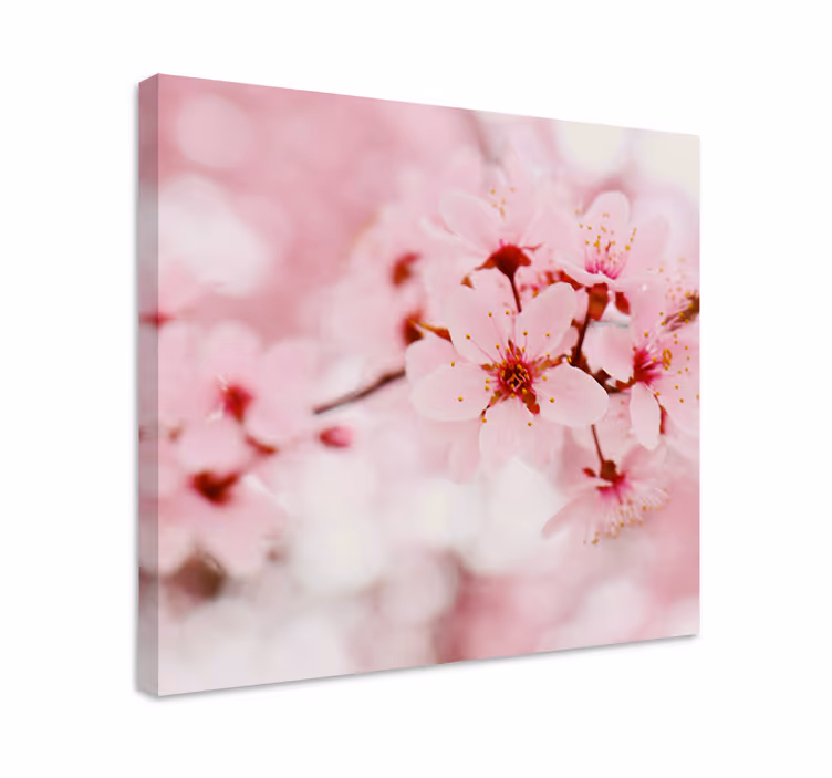 Pink bloom fotografering kunst blomst lærred - TenStickers