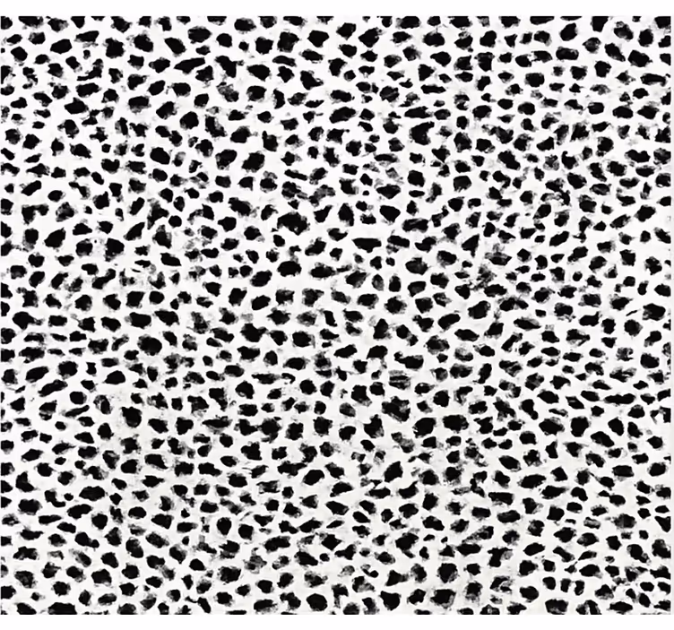 Monokrom leopardprint vinyl tæppe til spisestue - TenStickers
