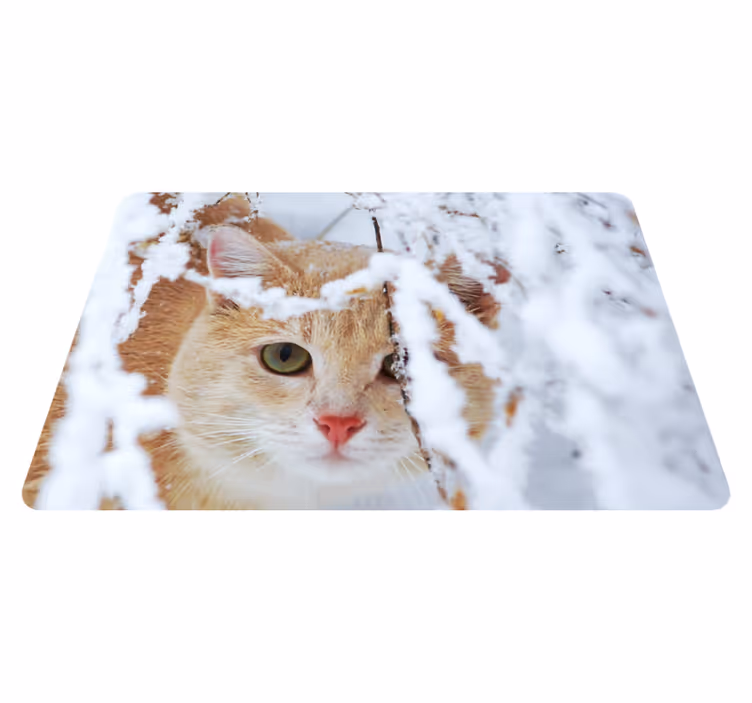 Vinyltæpper med dyr kat med stalaktit - TenStickers