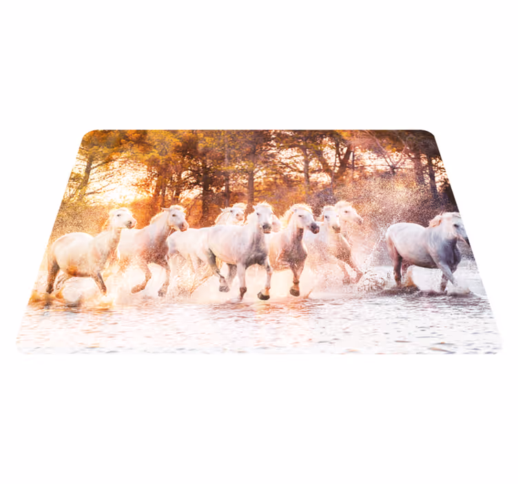 Vinyltæpper med dyr solnedgang med vilde heste - TenStickers