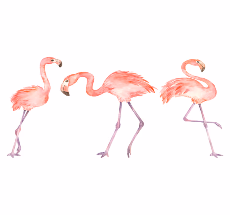 Vinyltæpper med dyr elegant flamingo trio - TenStickers