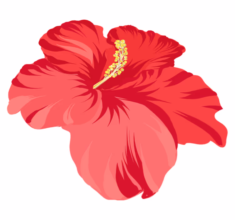 Blomster og planter vinyltæppe rød hibiscus sæt - TenStickers