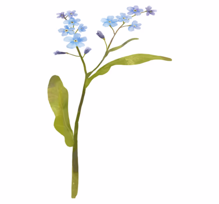 Blomster og planter vinyltæppe i elegant blå plante - TenStickers