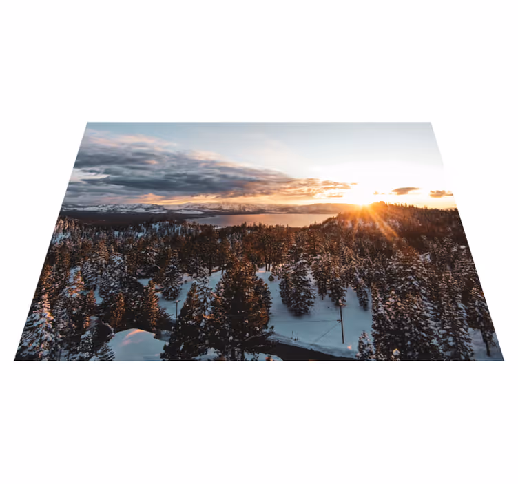 Natur vinyl tæppe frodig skovlandskab - TenStickers
