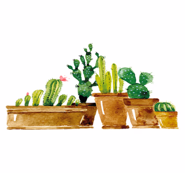Blomster og planter vinyltæppe hjemmebagt kaktushave - TenStickers