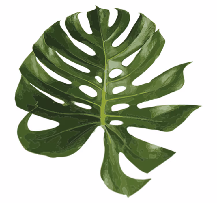 Blomster og planter vinyltæppe lækker monstera blad - TenStickers