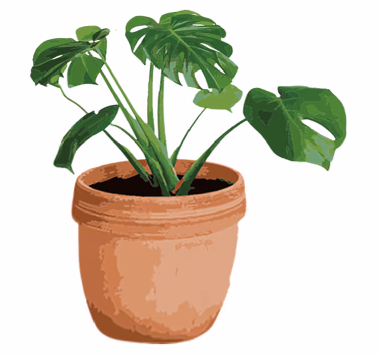 Blomster og planter vinyltæppe enkel monstera pot - TenStickers