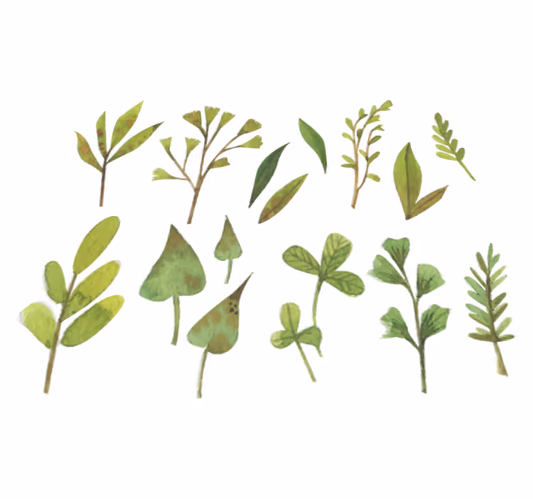 Blomster og planter vinyltæppe små blade - TenStickers