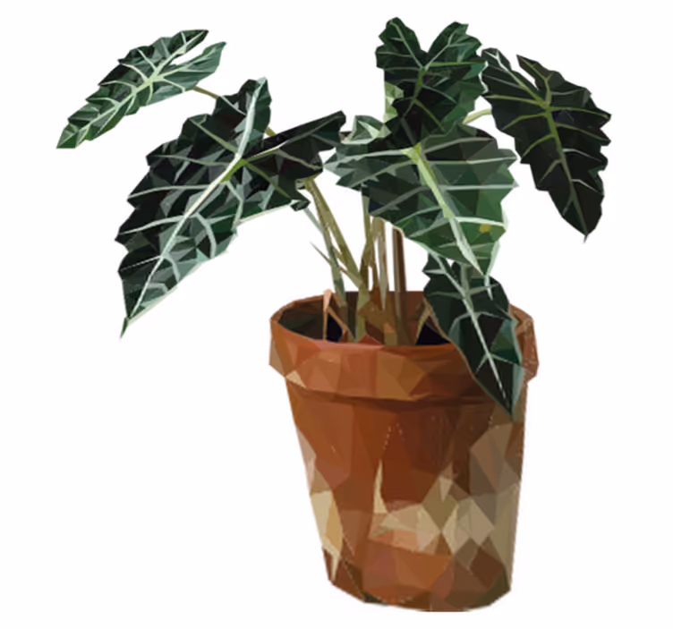 Blomster og planter vinyltæppe geometrisk potteplante - TenStickers