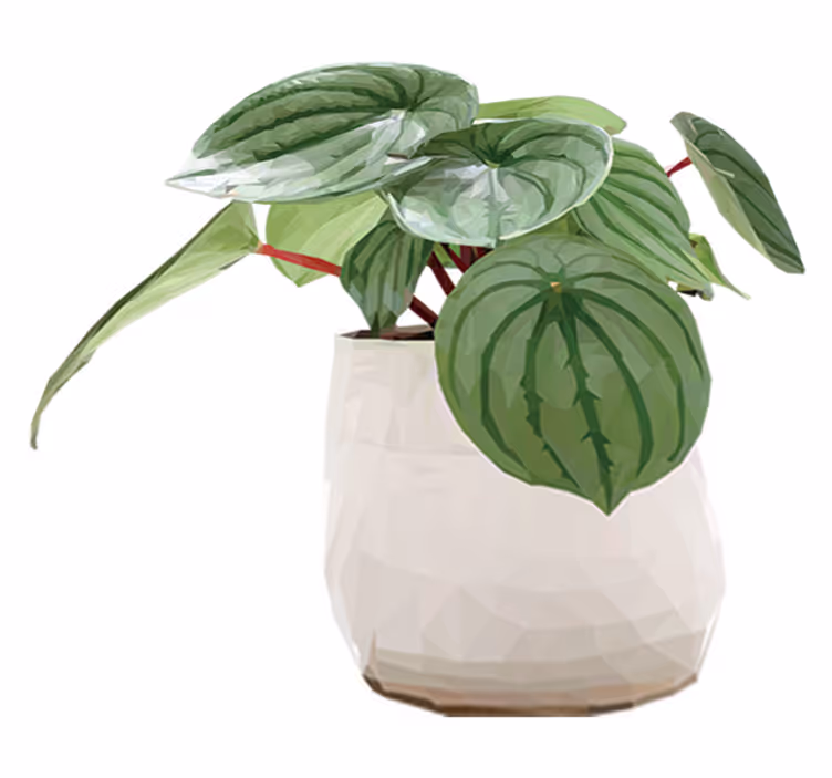 Blomster og planter vinyltæppe enkel hjemmeplante - TenStickers
