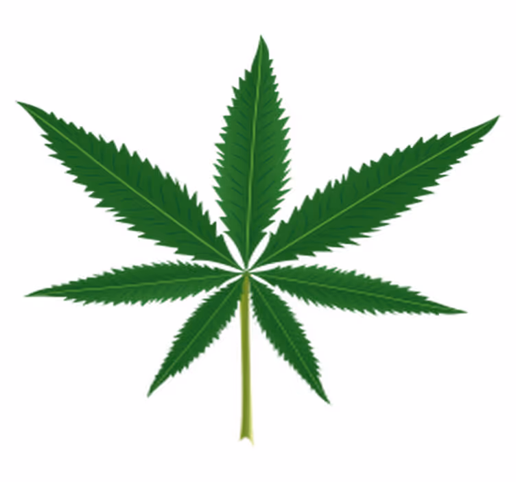 Blomster og planter vinyltæppe marihuana blad - TenStickers