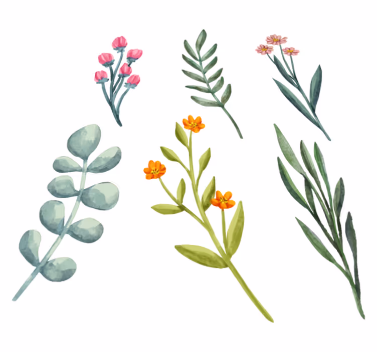 Blomster og planter vinyltæppe med plantegrene - TenStickers