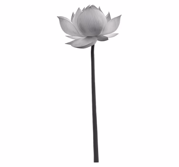 Vinyltæppe til soveværelse lotus ensom blomst - TenStickers