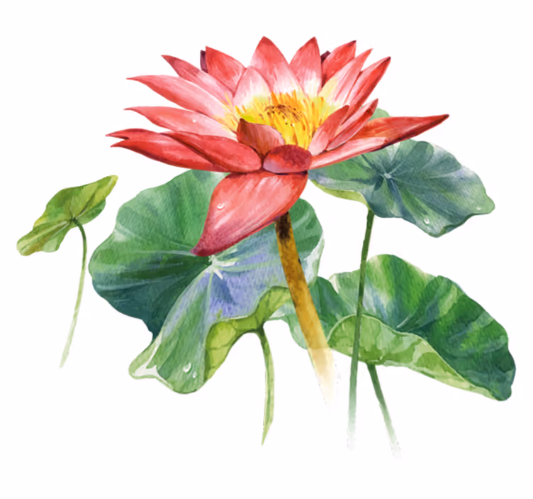 Vinyltæppe til soveværelse lotus akvarel illusion - TenStickers