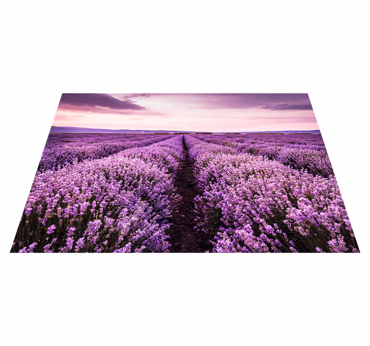 Lilla vinyl tæppe fotomurale lavendelblomster provence - TenStickers
