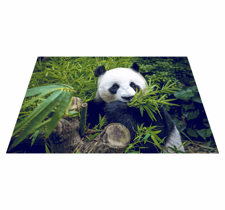 Grøn vinyl tæppe panda nuttet - TenStickers