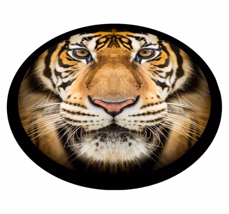 Tiger nærbillede vinyltæpper med dyr - TenStickers