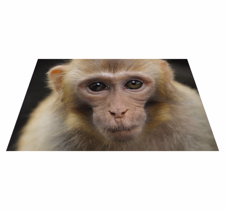 Baby abe ansigt vinyltæpper med dyr - TenStickers