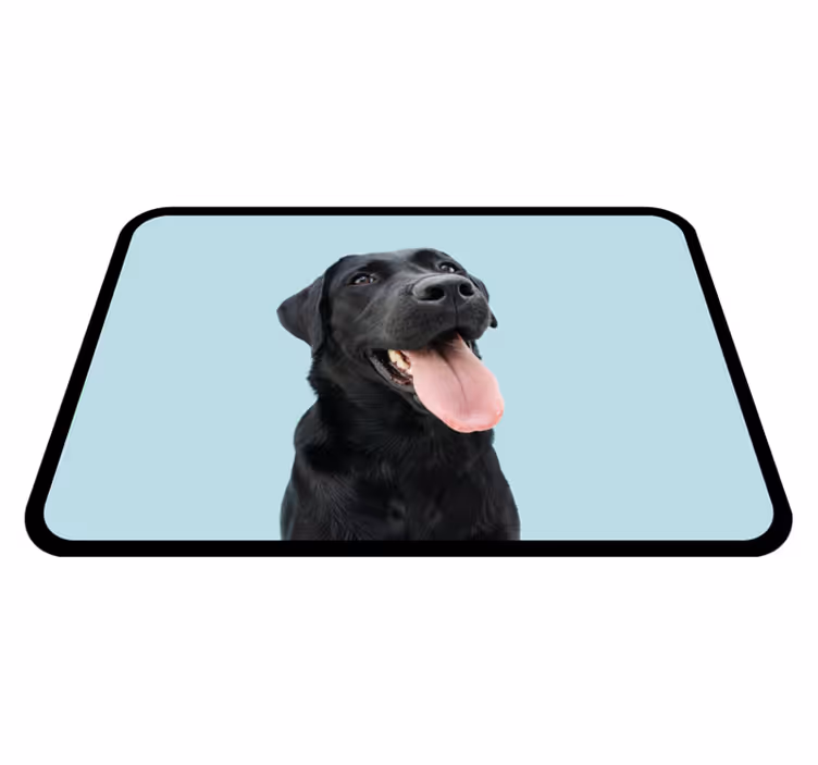 Sort labrador hund vinyltæpper med dyr - TenStickers