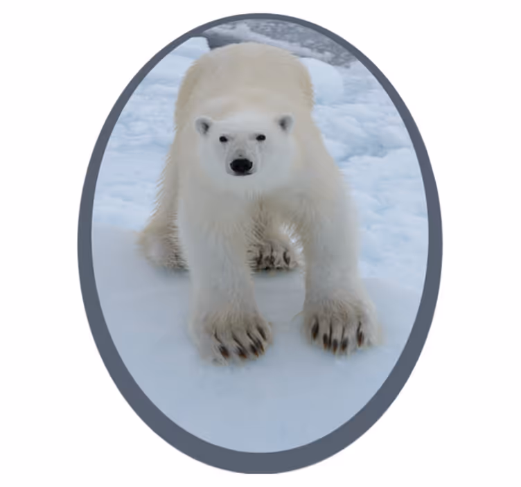 Isbjørn i sne dyretæppe - TenStickers