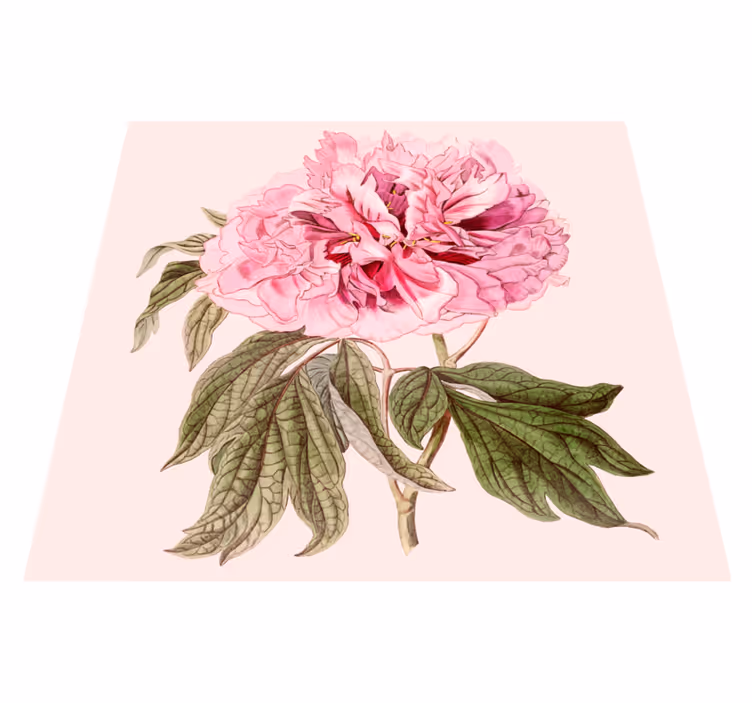 Pæon hvidt rektangulært blomstertæppe - TenStickers