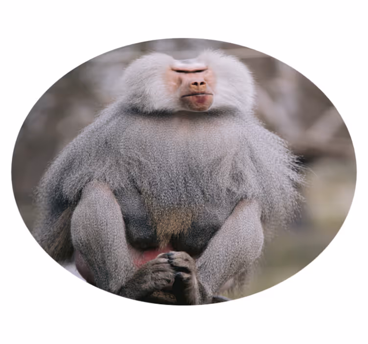 Dyr cool abe vinyl tæppe - TenStickers