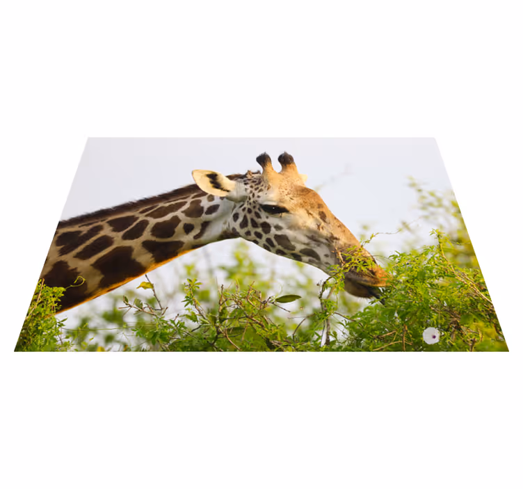 Dyr højt giraf vinyl tæppe - TenStickers
