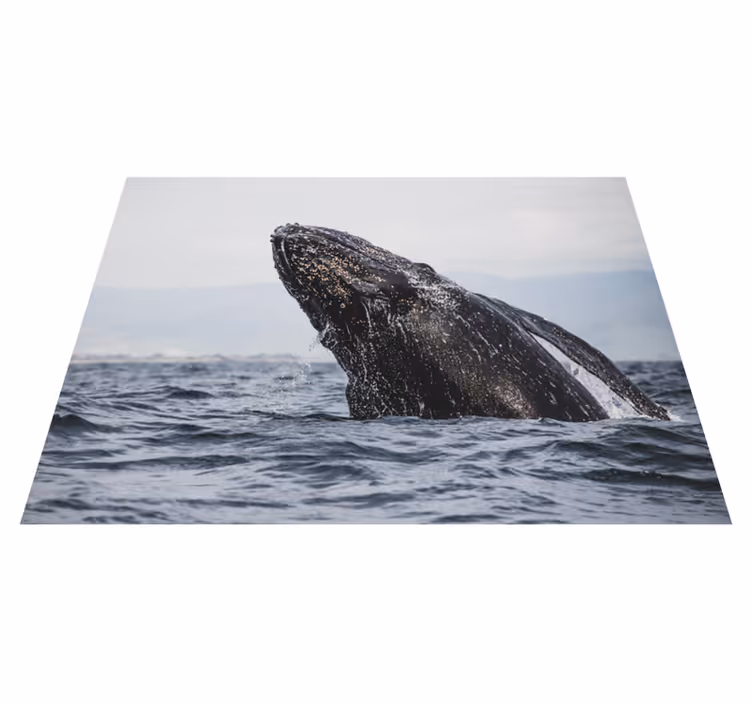 Majestætisk hvalspring natur vinyl tæppe - TenStickers