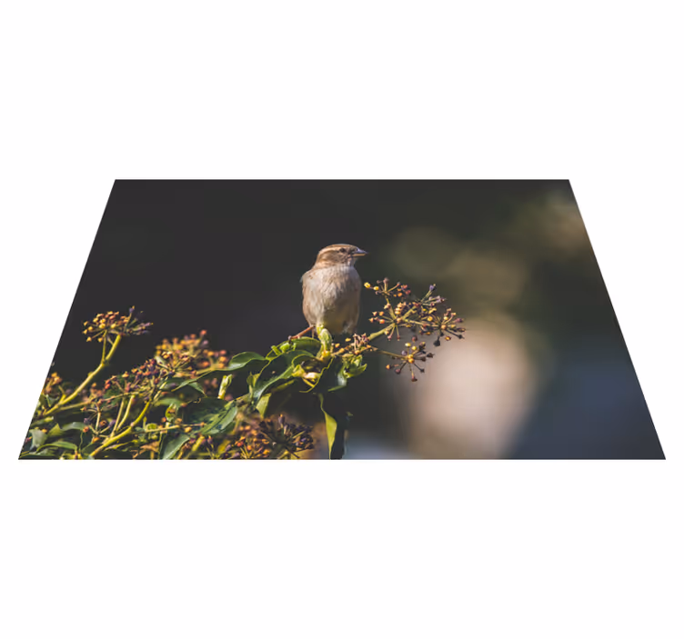 Charmerende fugl siddende natur vinyl tæppe - TenStickers