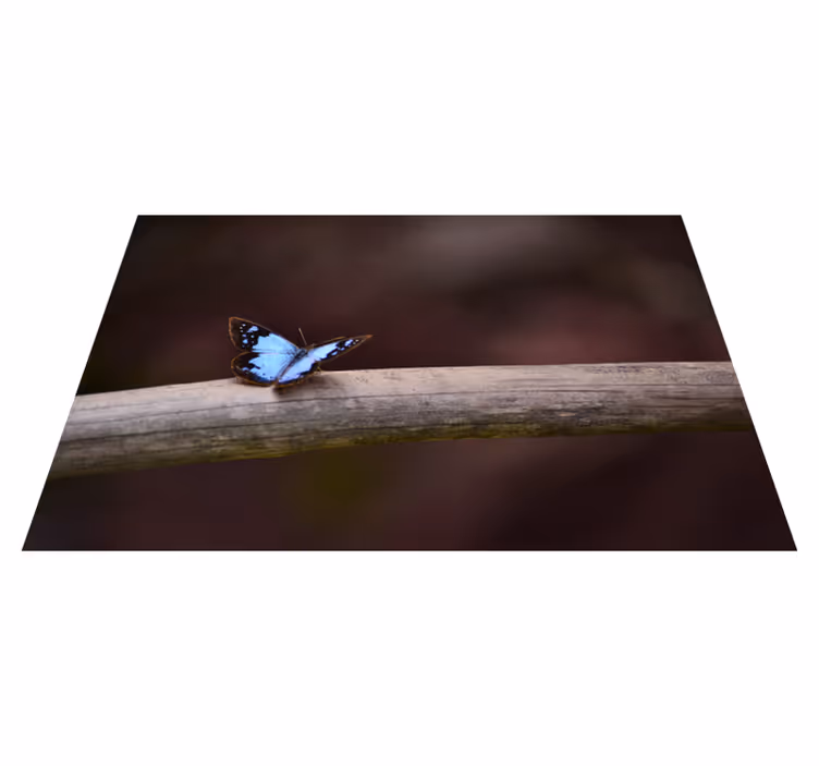 Sommerfugl på gren natur vinyl tæppe - TenStickers