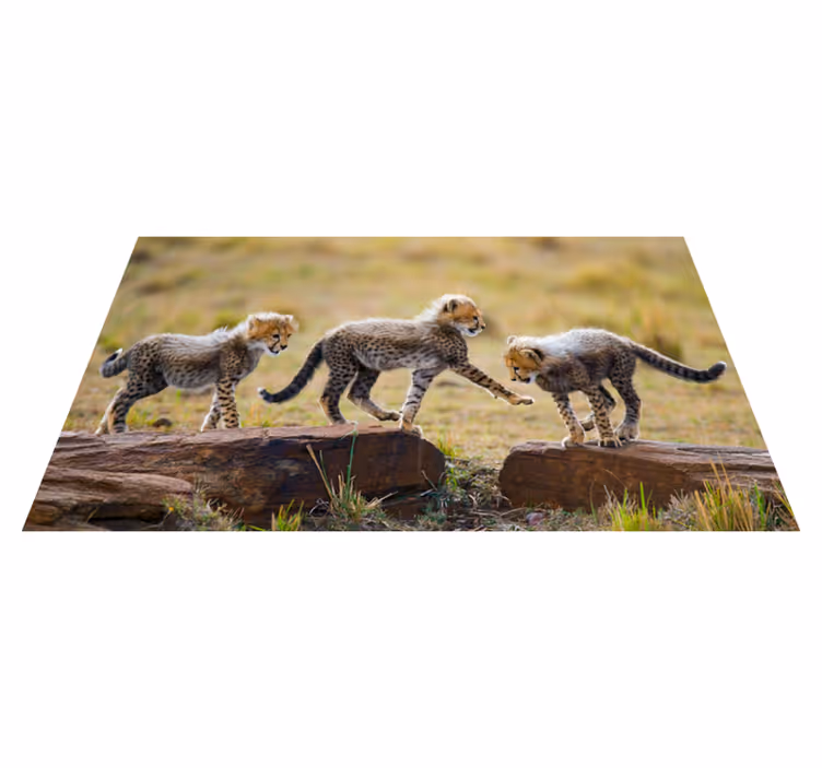 Dyr søde cheetah unger dyre tæppe - TenStickers