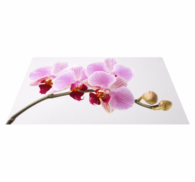 Et enkelt orkidégråt blomster vinyltæppe - TenStickers